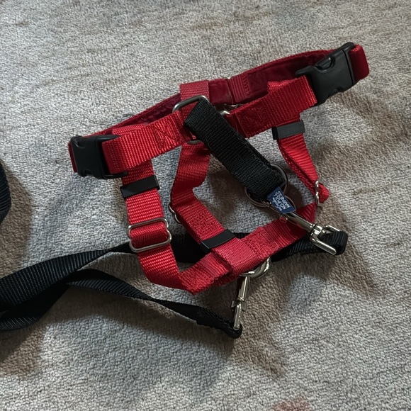 Freedom No Pull dog harness - Picture 3 of 8